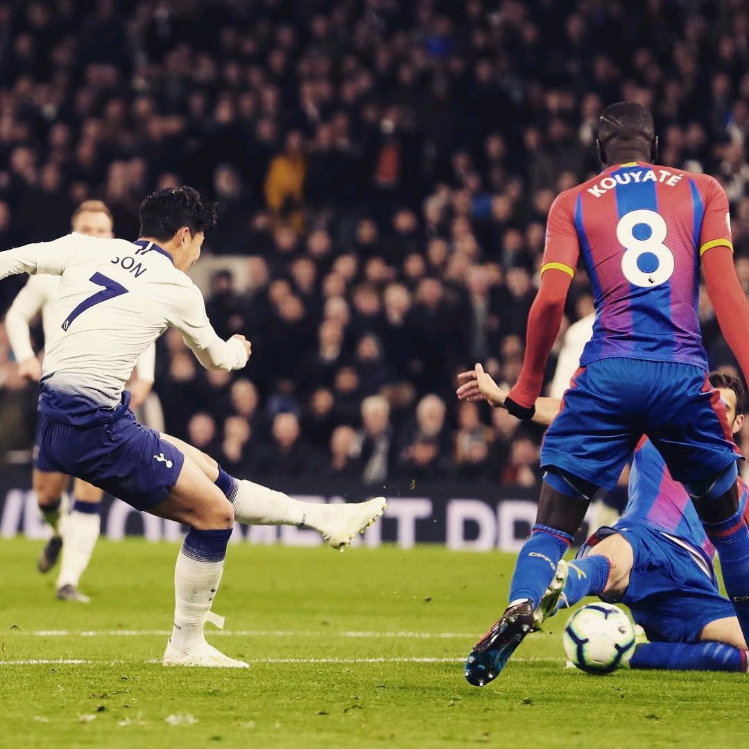 内最权威的 内最权威的